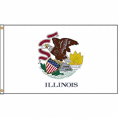 ANNIN FLAGMAKERS 141470 D3771 Illinois Flag 4x6 Ft Nylon