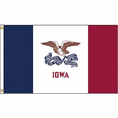 ANNIN FLAGMAKERS 141780 D3772 Iowa Flag 5x8 Ft Nylon