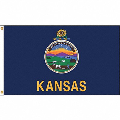 ANNIN FLAGMAKERS 141870 D3771 Kansas Flag 4x6 Ft Nylon