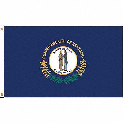 ANNIN FLAGMAKERS 141980 D3772 Kentucky Flag 5x8 Ft Nylon