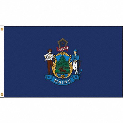 ANNIN FLAGMAKERS 142270 D3771 Maine Flag 4x6 Ft Nylon