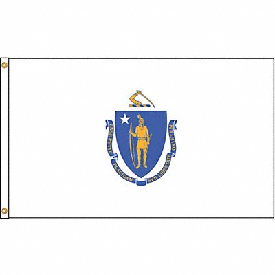 ANNIN FLAGMAKERS 142470 D3771 Massachusetts Flag 4x6 Ft Nylon