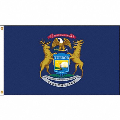 ANNIN FLAGMAKERS 142680 D3772 Michigan Flag 5x8 Ft Nylon