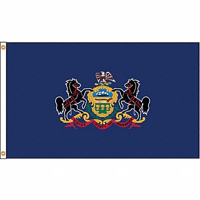ANNIN FLAGMAKERS 144680 D3772 Pennsylvania Flag 5x8 Ft Nylon