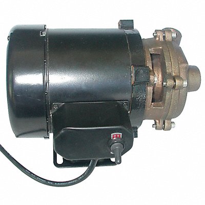 DAYTON 5PXX3 Marine Centrifugal Pump 1/8 HP 115VAC
