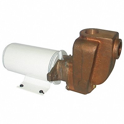 DAYTON 5PXX5 Marine Centrifugal Pump 1/8 HP 12VDC