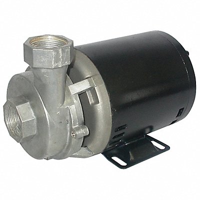 DAYTON 5PXX9 Pump 1/4 HP 1 Ph 115VAC