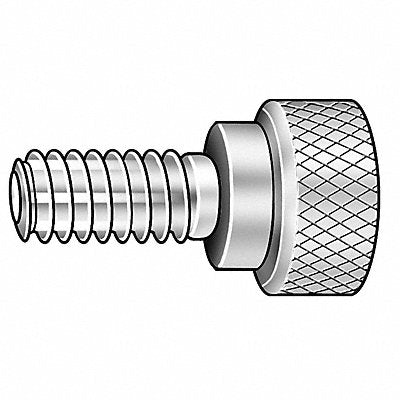 GRAINGER Z1062SS Thumb Screw 1/4 -20 Full Thread 1 1/8 L