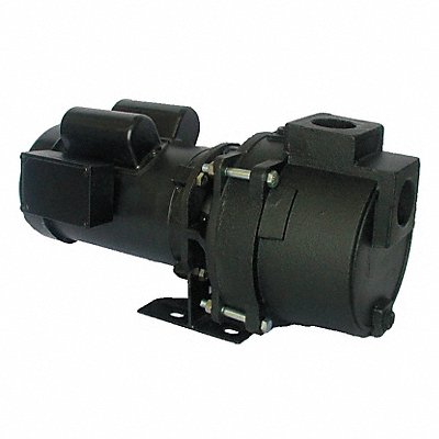 DAYTON 5RWG5 Pump 3/4 HP 1Ph 120/208 to 240VAC