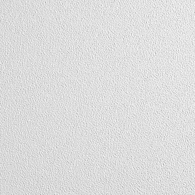 ARMSTRONG 589BN Ceiling Tile 24 in L 24 in W PK12