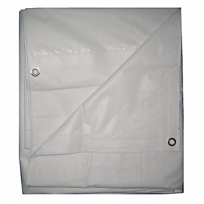 GRAINGER 5WTW6 Tarp Fire Retartdant Vinyl 8x10Ft