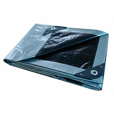 GRAINGER 5WTN5 Tarp Reversible Polyeth 8x10Ft