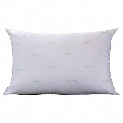 MARTEX 5007122 Pillow Jumbo 20x28 in Pk10