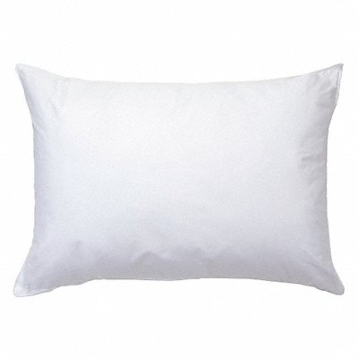 MARTEX 5006311 Pillow Jumbo 20x28 in Pk10