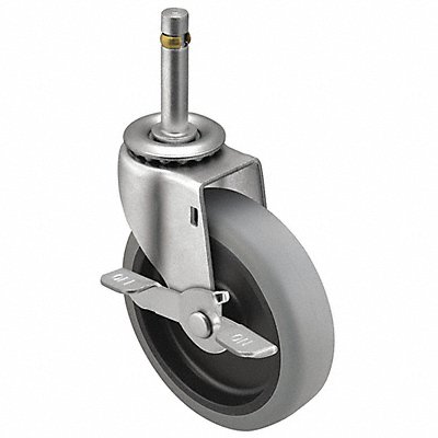 SHEPHERD Castor PRE50273ZNTPUB Castor