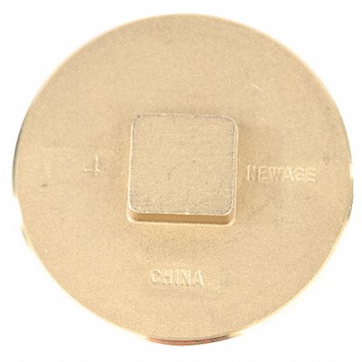 GRAINGER BPR150 Raised Square Plug Brass 1 1/2 in