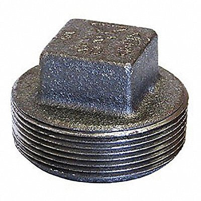 ANVIL 318901923 Hex Head Plug Cast Iron 1 1/4 Class 150