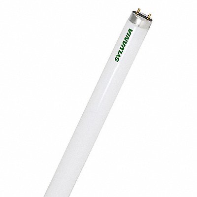 LEDVANCE/ SYLVANIA 22140 Fluorescent 25 W T8 Medium Bi-Pin (G13)