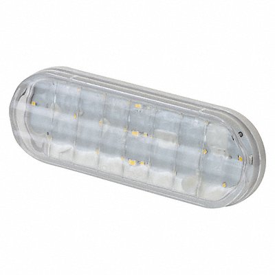 GROTE 62561 Back Up Lamp Oval Clear