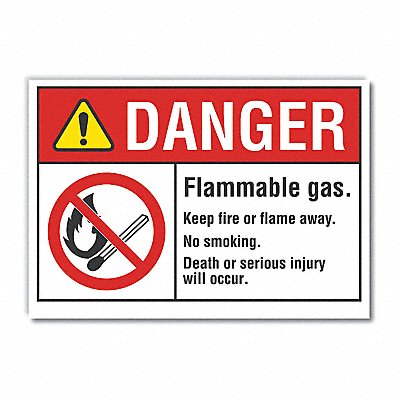 LYLE LCU40134ND14X10 Flammable Gas Danger Lbl 10x14in Polyest