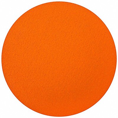 NORTON 66254416170 Sanding Disc Abrasive Ceramic 20 dia