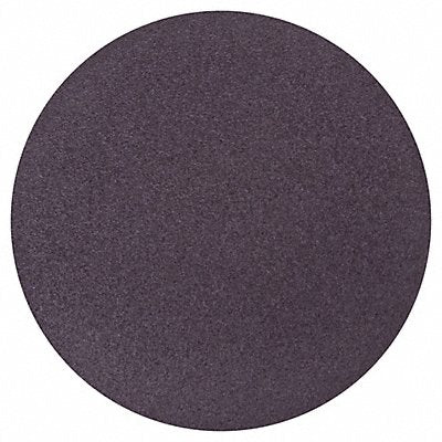 NORTON 66261136600 Sanding Disc Aluminum Oxide 10 dia