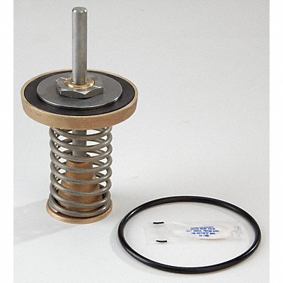 WATTS 90921231stCheckKit Repair Kit Watts Series 909 2-1/2 to 3In