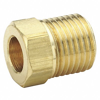 TRAMEC SLOAN 41IFS5 Nut InVerticaled Flare Brass 5/16In Tube