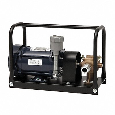 DAYTON 6KHN6 FlexibleImpellerPump 115/208-230V AC