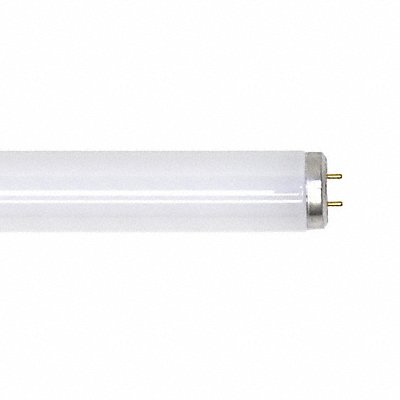 GE LAMPS F40DXECO Fluorescent 40 W T12 Medium Bi-Pin (G13)