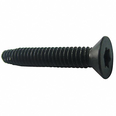 GRAINGER U312910250100 SCRW TCTT TX-F ST BLKPH 1/4 1 L PK100