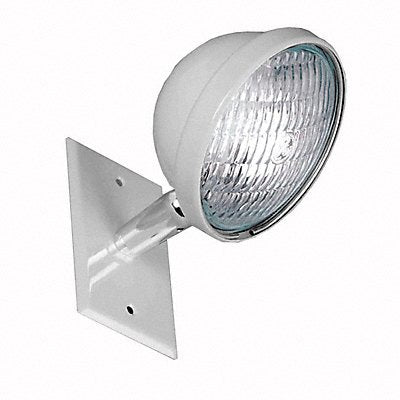 BIG BEAM LS53F6W Remote Head LED 6V 5W 8 H 5 W 1 Lamp