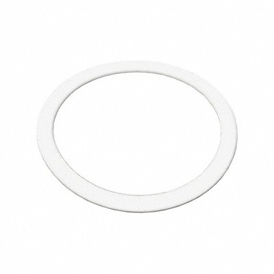 BENCHMARK SCIENTIFIC IPD960025G Replacement Gasket 25 mL