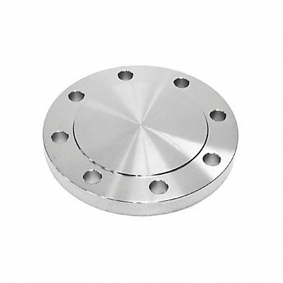 GUARDIANMADE FLS61RFBL800 Blind Flange 316L SS 8 NPS