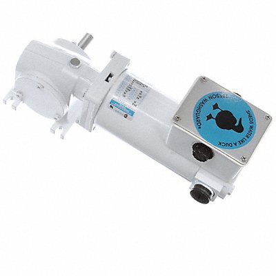 LEESON M112528100 Right Angle Gearmotors 12V