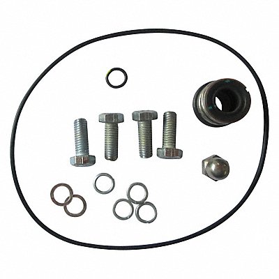 DAYTON GGS103724 Pump Repair Kit