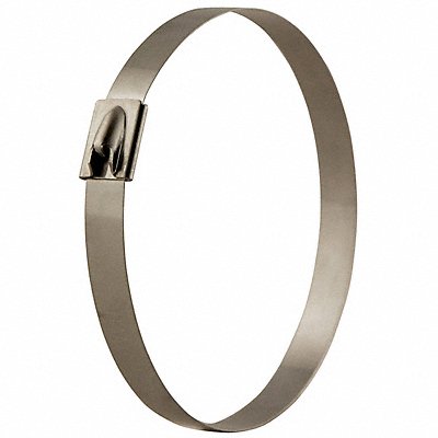 BAND-IT KE1328 Band Ties 5/16 W Cable Tie 2 OD PK100