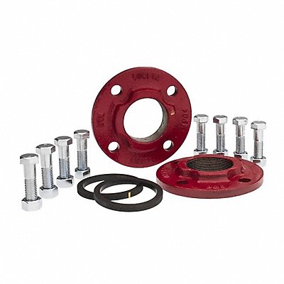 ARMSTRONG PUMPS INC. 806074111K Flange Kit 2 FNPT Cast Iron PK2