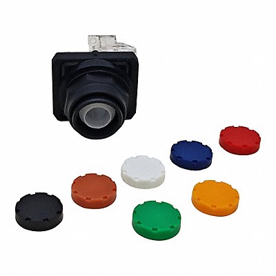DAYTON GGS116339 Flush Push Button Operator Plastic IP65