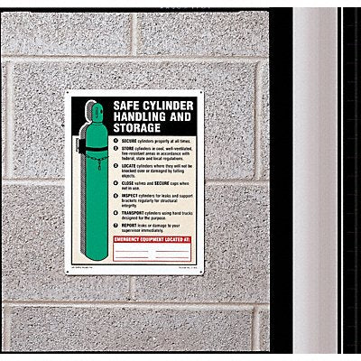 ACCUFORM MCPG503VP Safety Sign 10 inx7 in Plastic