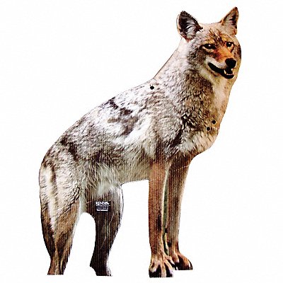 BIRD-X COYOTE Coyote Decoy 20 in H Brown/White