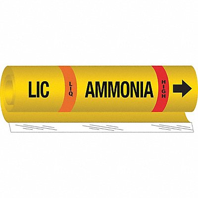 BRADY 57972 Pipe Marker Ammonia 9 in H 8 in W