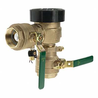 WATTS 800M4FR Freeze Resistant Vacuum Breaker 9-1/2inH