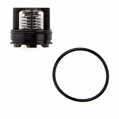 WATTS RK007M3CK234 2nd check repair kit 007M3 3/4