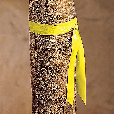 GRAINGER TF1Y200 Flagging Tape Yellow 300 ft L 1 in