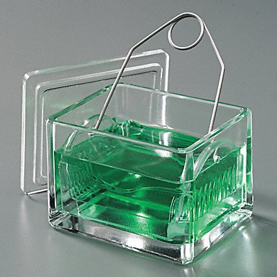 WHEATON 900200 Staining Dish Set 71x60x91 mm PK6