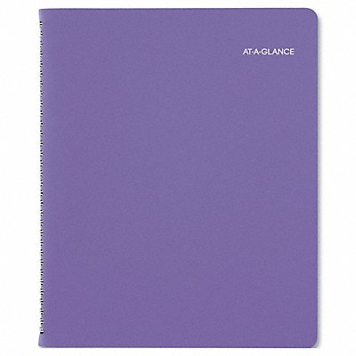 AT-A-GLANCE 938P905 Appointment Book 8-1/2 x 11 Ruled