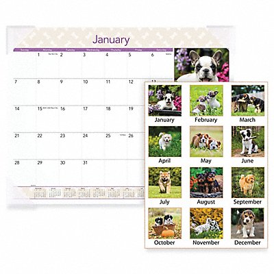 AT-A-GLANCE DMD16632 Monthly Desk Calendar Puppies