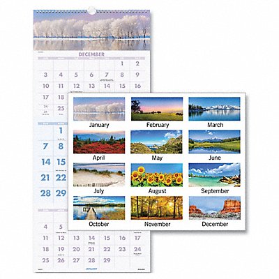 AT-A-GLANCE DMW50328 Wall Calendar 3 Month Scenic