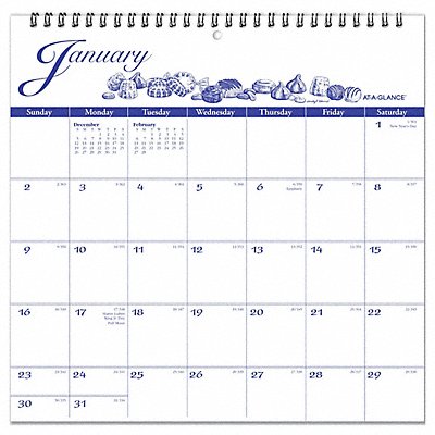 AT-A-GLANCE G100017 Wall Calendar Illustrators Edit Yearly